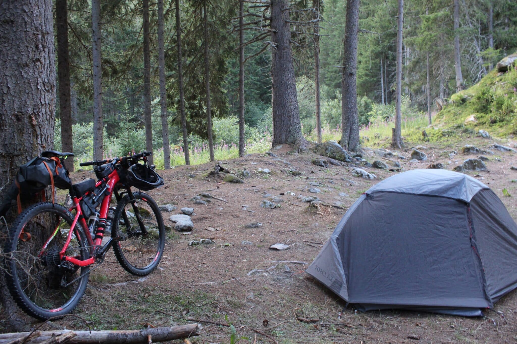 barraca de acampamento selvagem nos alpes com pinheiros ao redor