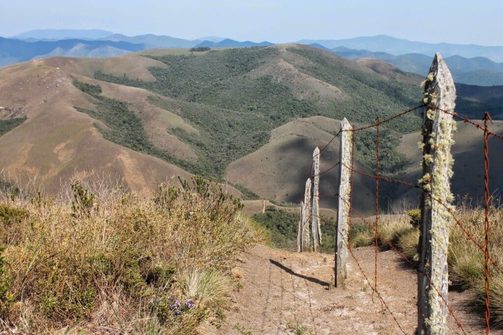 cerca no pasto no alto da montanha