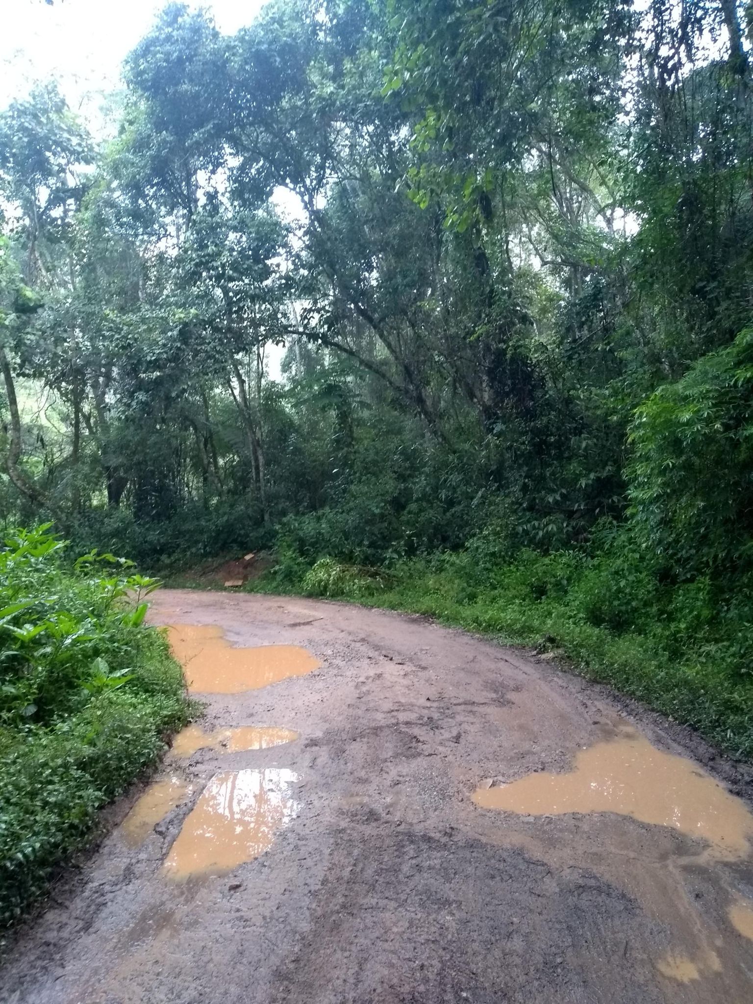 estrada de lama na represa de nazaré paulista