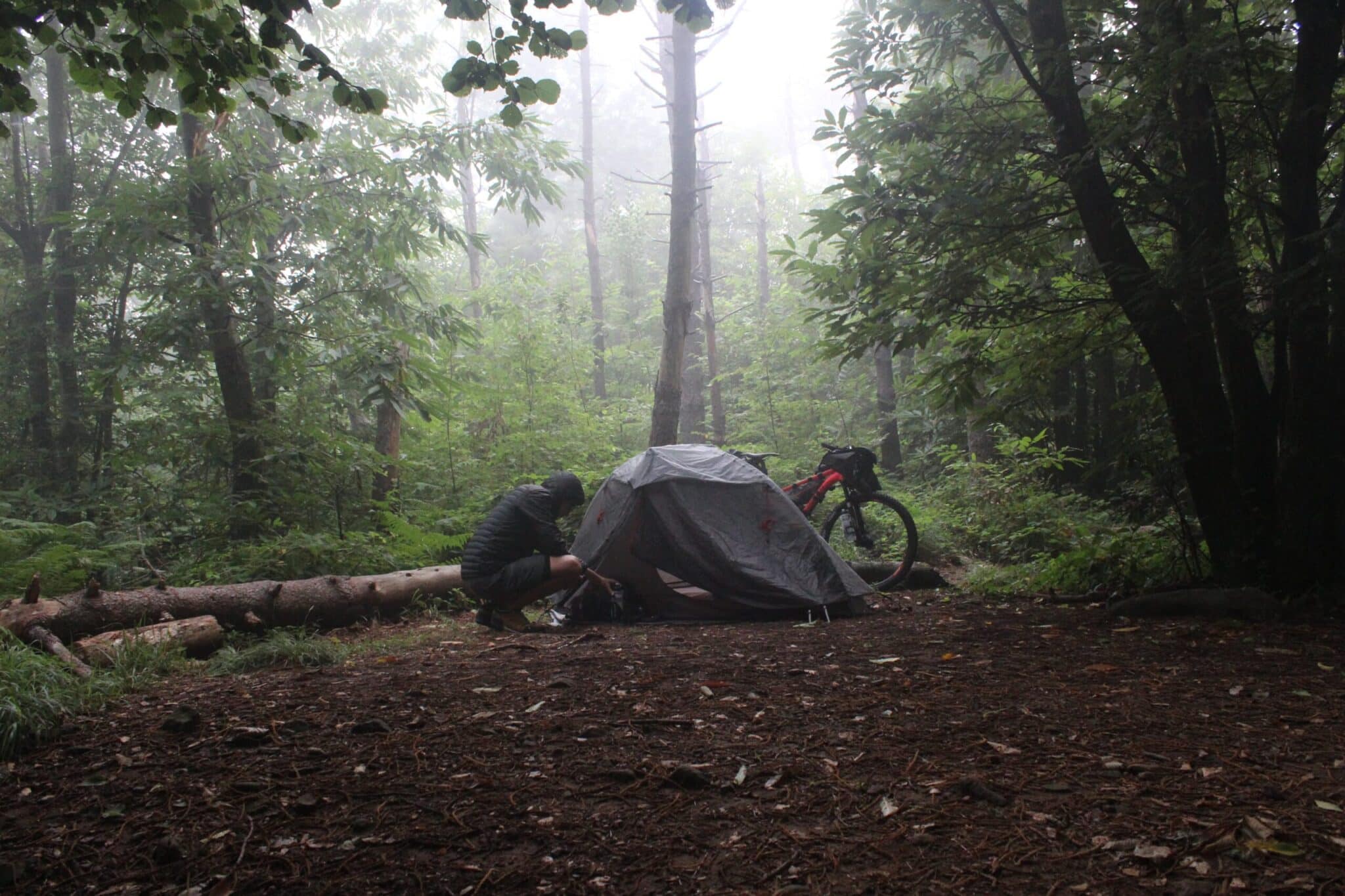 acampamento selvagem na floresta na liguria durante bikepacking 