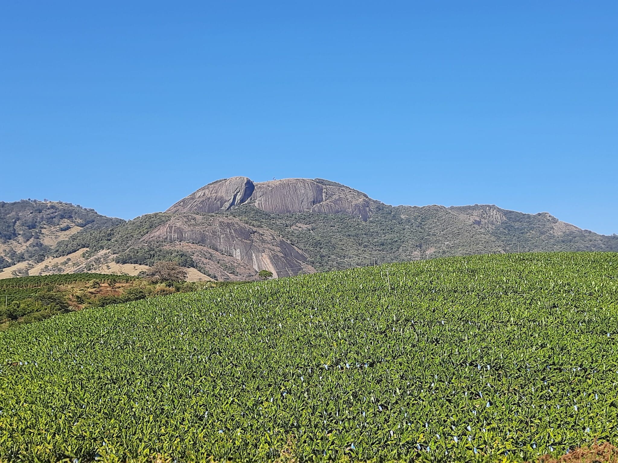 Pedra do Elefante na Rota do Vulcão com bananeiras