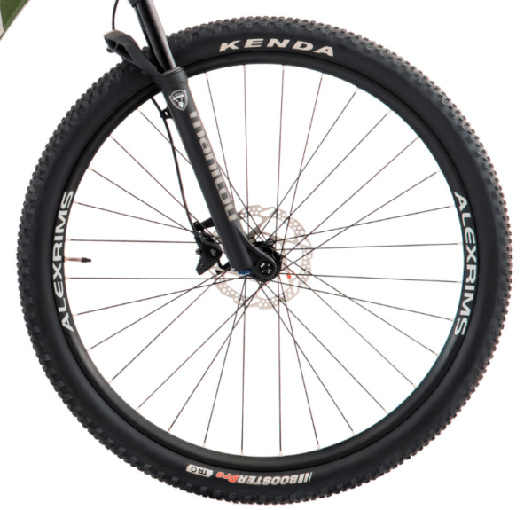 roda da oggi big wheel 7.3 2024