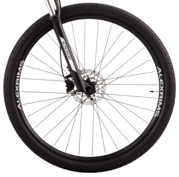 oggi big wheel 7.0 roda